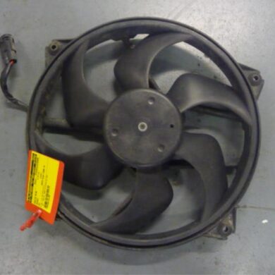 Peugeot 307 1.6 16V Fan motor 2006 1253A9