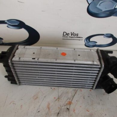 Peugeot Partner  Intercooler 9HN9H06 2015 0384N9
