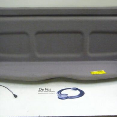 Citroen Picasso  Hoedenplank 2002 8794JV