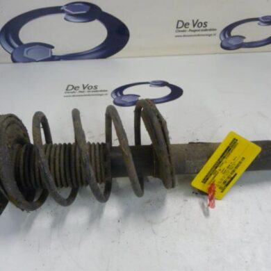 Peugeot 206 1.4 16V Front shock absorber rod, right 2006 5202NA