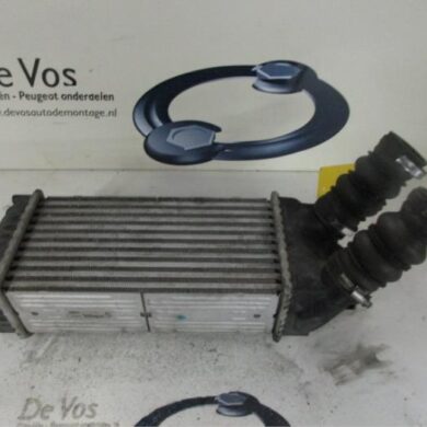 Citroen Picasso  Intercooler 9HX 2007 0384G5