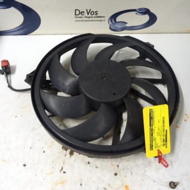 Peugeot 206 1.4 XR,XS,XT,Gentry Fan motor 2003 1253R7-1253C9