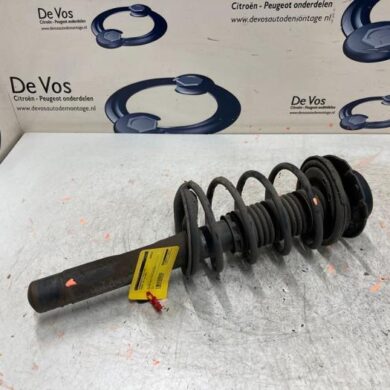 Peugeot 206 1.4 XR,XS,XT,Gentry Front shock absorber rod, right 2008 5202LW