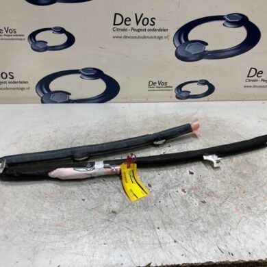 Peugeot 3008  Roof curtain airbag 2019 9811504680
