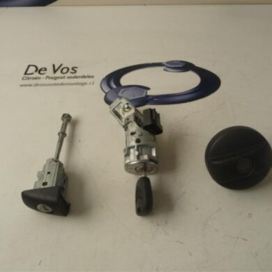 Citroen C3 Picasso 1.6 HDi 16V 90 Slotenset Cilinder (compleet) 2010 4162SV