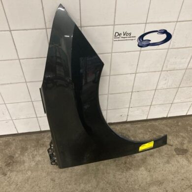 Peugeot 3008  Front wing, right 2010 7841Z1