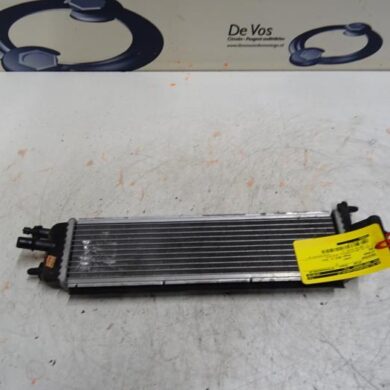 Citroen DS5 2.0 165 HYbrid4 16V Radiateur RH02-RHC 2013 1330Z1