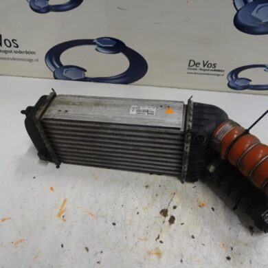 Citroen DS3  Intercooler 5FV-5FV5F02 2013 1440P8