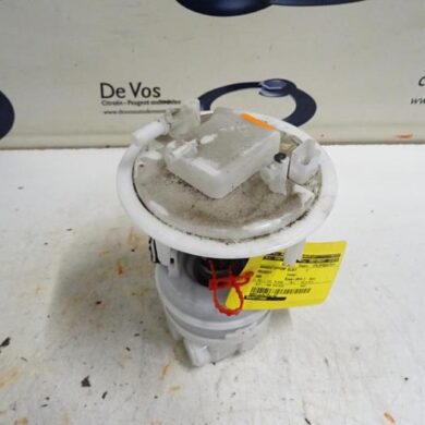 Peugeot 308  Electric fuel pump 5FA5F02 2014 9804773080