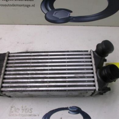 Citroen C4 1.6 e-HDI Intercooler 9HR-9HR9H05 2012 0384N9