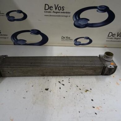 Peugeot RCZ 1.6 16V THP Intercooler 5FU-5FU5F03 2010 1440R9