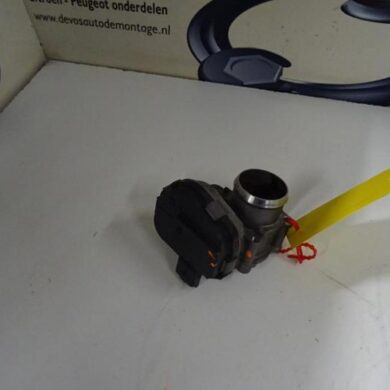 Citroen C3 Picasso  Gasklephuis 9HP9H06 2012 0345G4