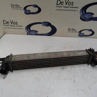 Citroen Nemo  Ladeluftkühler FHZ 2013 0384L7