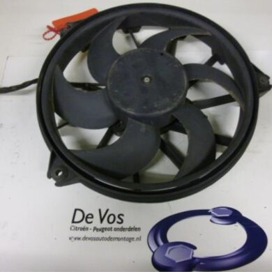 Peugeot 807 2.2 HDiF 16V Koelvin Motor 2006 1250G7-1250Q7