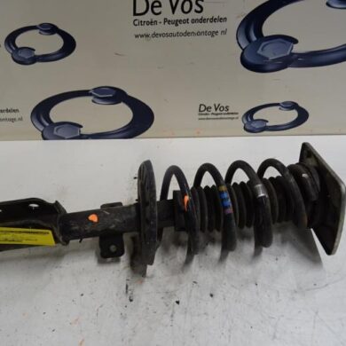 Peugeot Expert 2.0 Blue HDi 120 16V Schokdemperpoot links-voor 2017 9813823580-9821596780