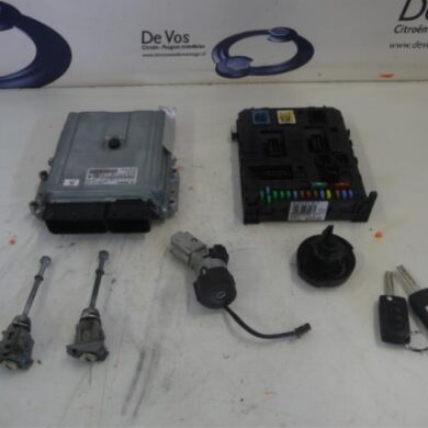 Citroen C5  Computer Motormanagement X8ZX801 2010 194431-194432