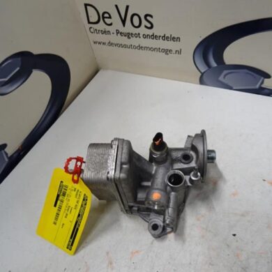 Peugeot 308  Oil filter housing 2016 9807594380