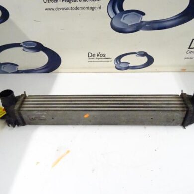 Peugeot Bipper  Intercooler 8HS 2010 0384L7