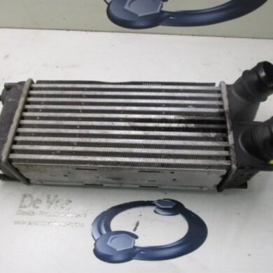 Citroen C4 Picasso 1.6 HDi 16V 110 Intercooler 9HZ-9HZ9H01 2008 0384L4