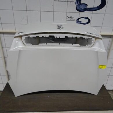 Peugeot RCZ  Tailgate 2010 1607016080-8613G7