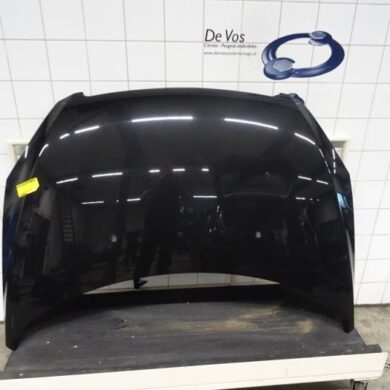 Peugeot 307 1.6 16V Motorhaube 2003 7901J0