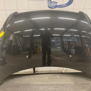 Peugeot 307 2.0 16V Motorkap 2002 7901J0