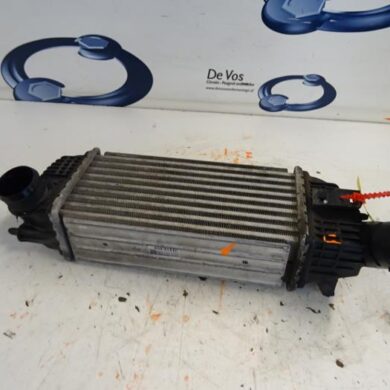 Citroen C5  Intercooler RHH-RHHRH02 2011 0384N4
