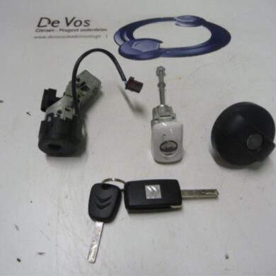 Citroen C3 1.6 HDi 92 Slotenset Cilinder (compleet) 2011 4162VH