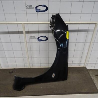 Peugeot 307 2.0 16V Scherm links-voor 2004 7840K8