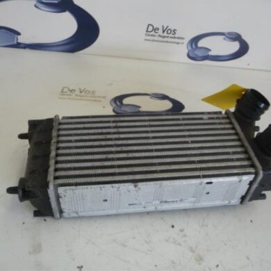 Citroen Berlingo  Intercooler 9HT-9HT9H03 2009 0384L9