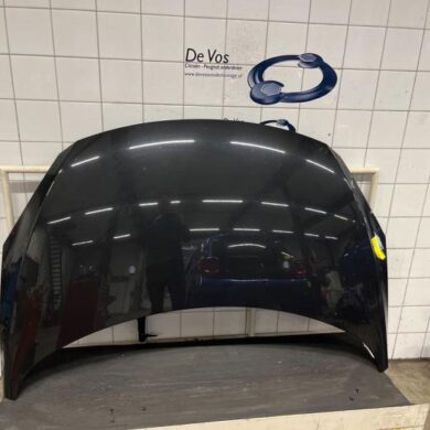 Peugeot 307 2.0 16V Motorkap 2006 7901L9