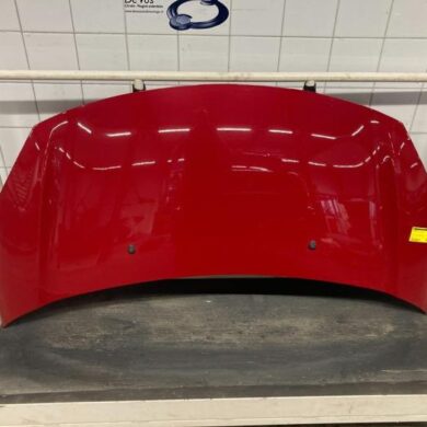 Citroen DS3  Bonnet 2013 7901R1