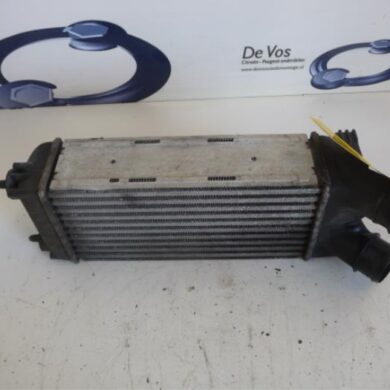Peugeot Partner  Intercooler 9HX-9HX9H03 2009 0384L9