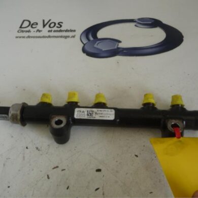 Peugeot 208  Fuel injector nozzle 8HR-8HR8H01 2014 1570Q4