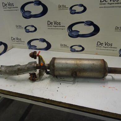 Peugeot 208 1.6 Blue HDi 100 Roetfilter BH02-BHYBH02 2015 1611769080-1611769180