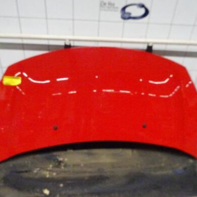 Citroen DS3  Bonnet 2012 7901R1