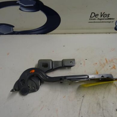 Citroen DS4  Bonnet Hinge 2015 791351