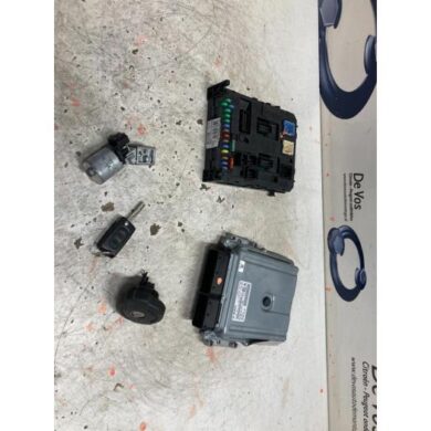 Citroen C5 3.0 HDiF V6 24V Computer Motormanagement X8Z 2009 194431-194432-9666840180