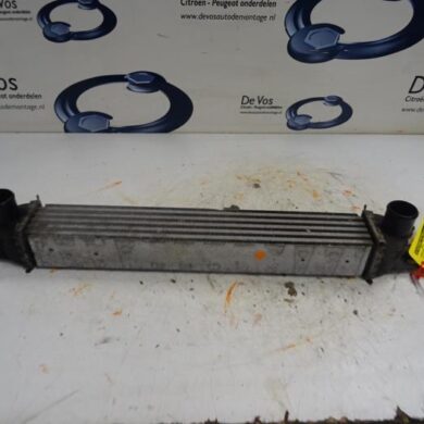 Citroen Nemo  Intercooler FHZ 2013 0384L7