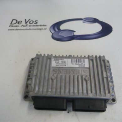 Peugeot 807  Automatic gearbox computer RHM 2006 2529X0-2529TE 20TS15