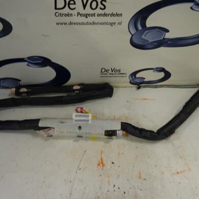 Peugeot 5008  Hemel Airbag 2010 833751