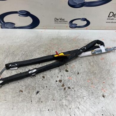 Citroen C4 Picasso  Himmel Airbag 2019 9800483180