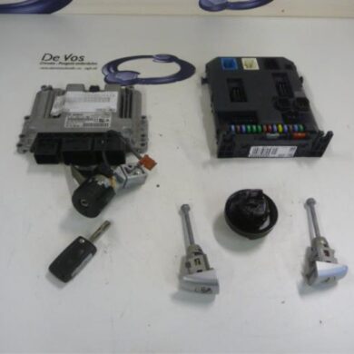 Peugeot 207  Engine management computer 5FS-5FS5F01 2012 1607127380