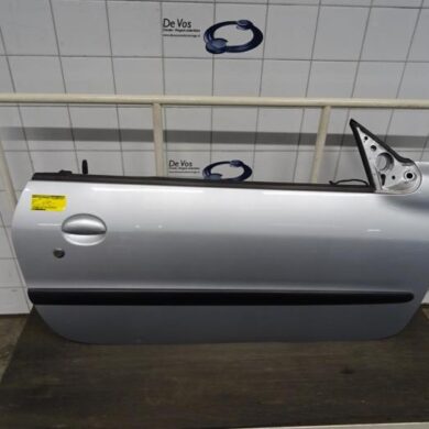 Peugeot 206 1.6 16V Tür 2-türig rechts 2002 9004P1