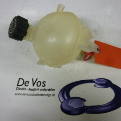 Peugeot 307  Expansievat 2007 1323W4