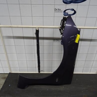 Peugeot 307 1.6 16V Scherm links-voor 2002 7840K8