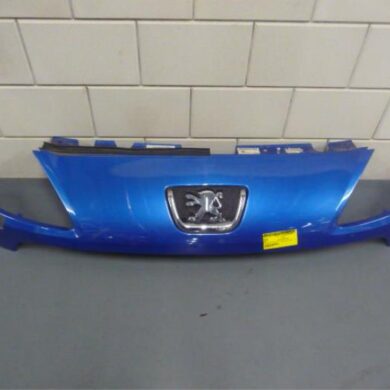 Peugeot 1007 1.4 16V Grille 2005 7804R8