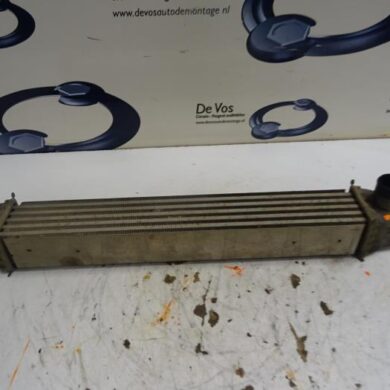 Citroen Nemo  Intercooler FHZ 2011 0384L7