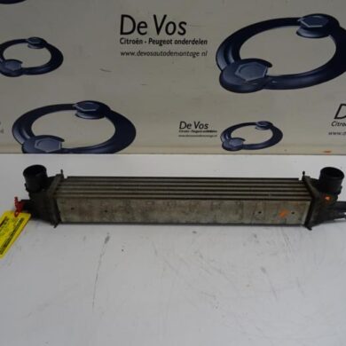 Peugeot Bipper  Intercooler FHZ 2012 0384L7