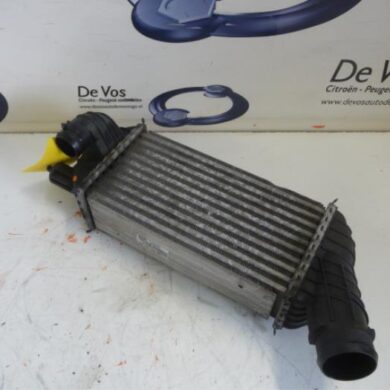 Peugeot 3008  Intercooler RHH 2010 0384P8